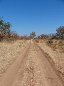 The road from Chobe to Savuti