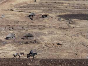 Typical Lesotho scene
